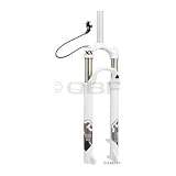 RockShox SID XX - Dual Air 100mm 29-Inch 9mm 1-1/8-Inch Disc (White)
