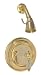 Jasco PSO F49 PB  Shower Set, Polished Brass