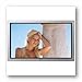 Sony 42-Inch FWD42PV1S Flat Panel Plasma EDTV Silver  : image