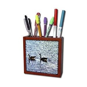 WhiteOak Photography-Canadian Geese - Two canadian geese swimming - Tile Pen Holders-5 inch tile pen holder