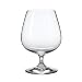 Riedel Vivant Cognac Glasses Set of 4