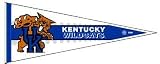 Kentucky Wildcats NCAA Pennant 12 x30