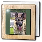 Dogs German Shepherd - German Shepherd Portrait - Tile Napkin Holders