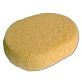 Trainer's Sponge