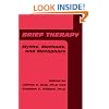 Brief Therapy: Myths, Methods, And Metaphors