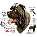 Neopolitan Mastiff Adult Sweatshirt
