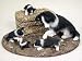 Border Collie Figurine - Mom and Pups