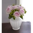 Cinderella Roses