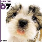 THE DOG シー・ズー 2007年 カレンダー