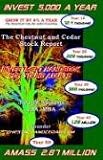 The Chestnut and Cedar Stock Report: Investment Handbook for Young Adults Joseph Spinella
