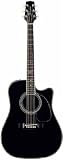 Takamine SW341SC Steve Wariner Signature Model Acoustic-Electric Guitar