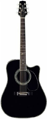 Childrens Toyshop  Musical Instruments : Takamine SW341SC Steve Wariner Signature Model Acoustic-Electric Guitar