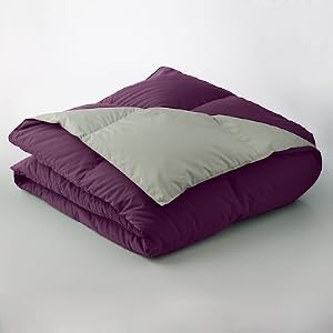 Home Classics Reversible Down Comforter by