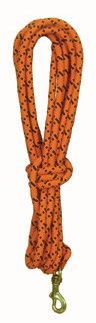 TBI 20' Orange Check Cord