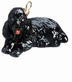 Black Cocker Spaniel