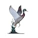 30 Duck Weathervane