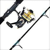 Spinfisher 750SSm Reel--Outer Banks Outfitters CP2040S 6'6'' Custom Power Stick Stand-Up Rod Spinning Combo