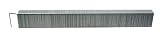 AccuSet A510250 1 4-Inch Length 1 2-Inch Crown 22 Gauge Galvanized Staple