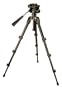 Compact 24.5 Inch Lightweight Tripod