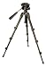 Compact 24.5 Inch Lightweight Tripod