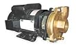 Dayton 2ZWT4 Pump, Centrifugal, 2 HP, 1 Ph, 115/230V