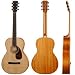 P05 Parlor Acoustic Guitar