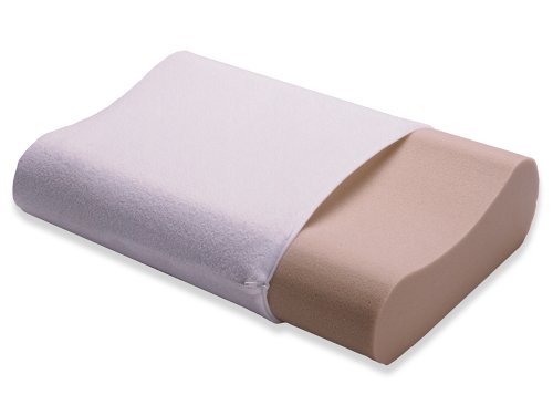 Simmons Beautyrest Memory Foam Countour Pillow