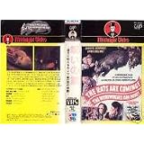 Rats are coming! Werewolves are here!
