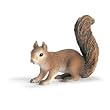 Squirrel, Sitting