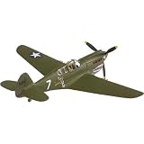 P-40E Warhawk White 7