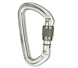 Black Diamond Quicksilver Screwgate Carabiner