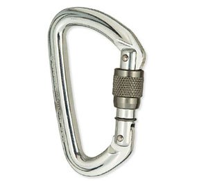 Black Diamond Quicksilver Screwgate Carabiner