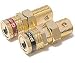 PHOENIX GOLD WP-509 5-Way Binding Posts (PHOENIX GOLD WP509)