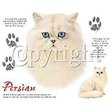 Persian Cat Adult Sweatshirt
