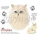 Persian Cat Womens T-Shirt Dress