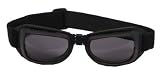 Biker Brille "Eagle2"