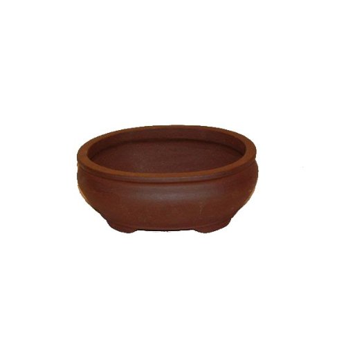 20cm Unglazed Oval Bonsai Pot