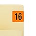 Smead ETYJ Color-Coded Year Label, 2016, Label Roll, Orange, 500 per Roll (68316)