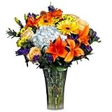 Flowers - Niagara