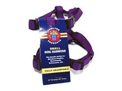 Hamilton Adjustable Comfort Dog Harness Hot Purple 5 8 X12-20 - CFA