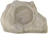 Dayton ROC8S 8 Rock Speaker Sand Finish