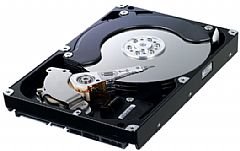 Samsung SpinPoint F1 HD753LJ - Hard drive - 750 GB - internal - 3.5 - SATA-300 - 7200 rpm - buffer: 32 MB