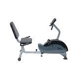 Hudson RE3300BD Recumbent Exercise Bike