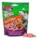 Kaytee Fiesta Yogurt Chips Treat for Small Animals Strawberry -- 3 oz