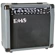 20 Watt RMS Guitar Amp w/ Reverb