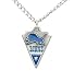 Detroit Lions Chain Necklace & Pewter Pendant - NFL Football Fan Shop Sports Team Merchandise