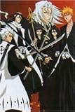 Bleach Poster HC713