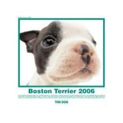 The Dog Boston Terrier (Artlist Collection)