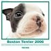 Boston Terrier Calendar 2006 (Artlist Collection)