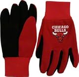 Forever Collectibles NBA Chicago Bulls 2011 Work Glove